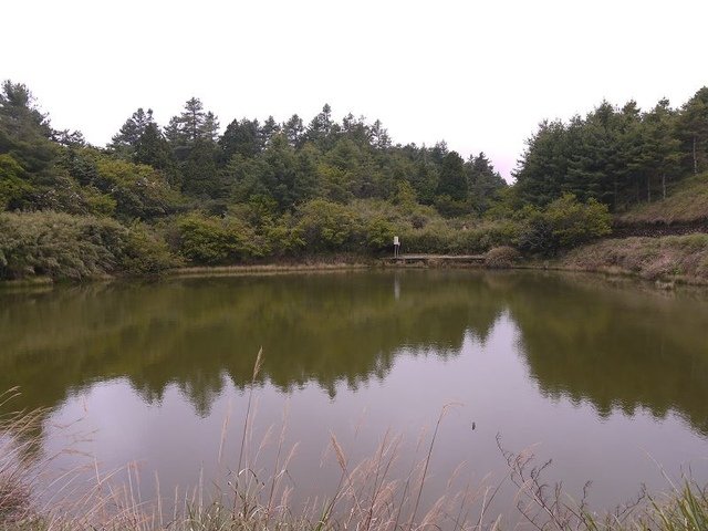 2019-04-26 12-49-29(001).jpg - 20190426_台中_大雪山森林遊樂區_天池
