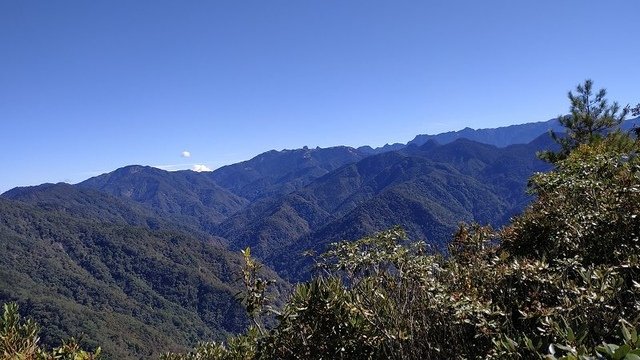 2019-11-23 11-19-48(001).jpg - 20191123_觀霧_榛山步道_右線