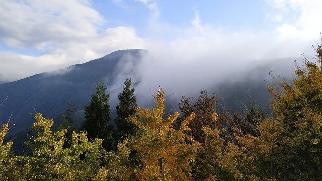 2019-11-23 15-22-20(001).jpg - 20191123_觀霧_雪霸農場