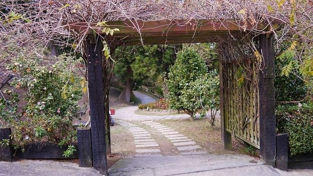 2019-11-23 15-39-25(001).jpg - 20191123_觀霧_雪霸農場