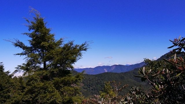 2019-11-23 11-49-17(001).jpg - 20191123_觀霧_榛山步道_左線