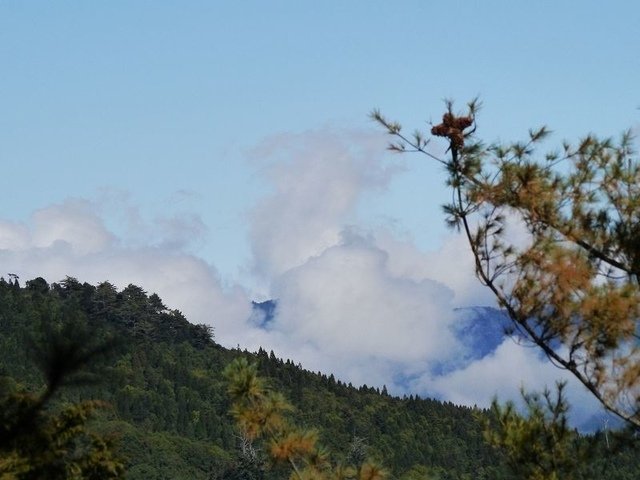 2019-11-23 11-59-15(001).jpg - 20191123_觀霧_榛山步道_左線