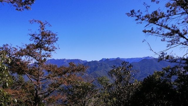 2019-11-23 12-26-26(001).jpg - 20191123_觀霧_榛山步道_左線