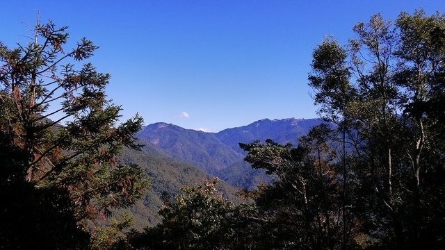 2019-11-23 12-37-26(001).jpg - 20191123_觀霧_榛山步道_左線