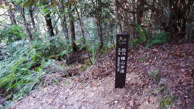 2019-11-23 12-49-05(001).jpg - 20191123_觀霧_榛山步道_左線