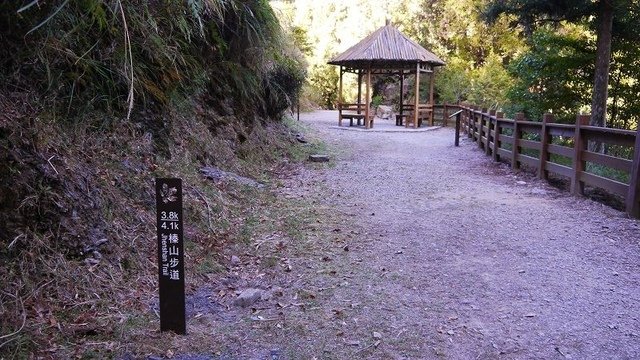 2019-11-23 13-30-43(001).jpg - 20191123_觀霧_榛山步道_左線