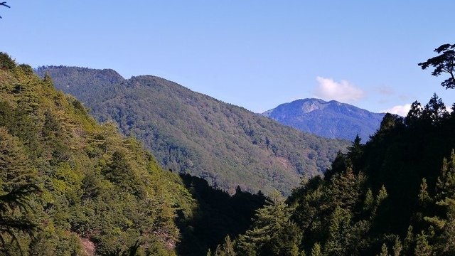 2019-11-23 13-32-38(001).jpg - 20191123_觀霧_榛山步道_左線