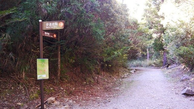 2019-11-23 13-39-41(001).jpg - 20191123_觀霧_榛山步道_左線