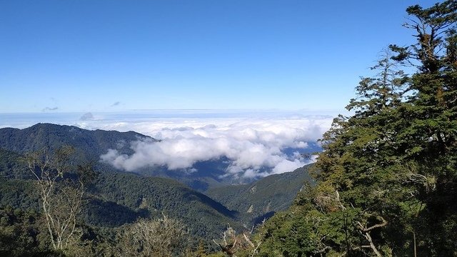 2019-11-22 12-10-02(001).jpg - 20191122_觀霧_檜山巨木步道_去程