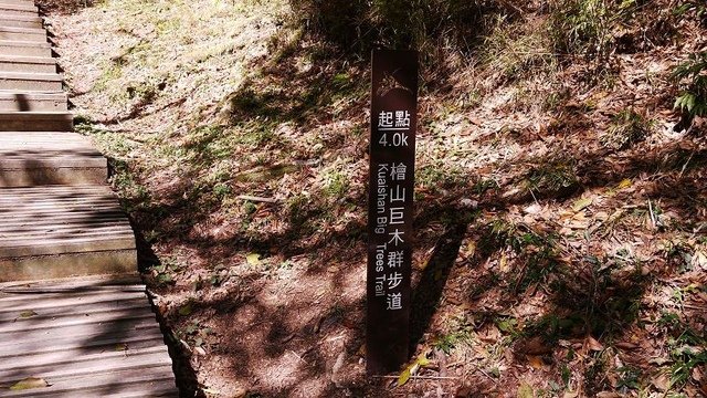 2019-11-22 12-06-04(001).jpg - 20191122_觀霧_檜山巨木步道_去程