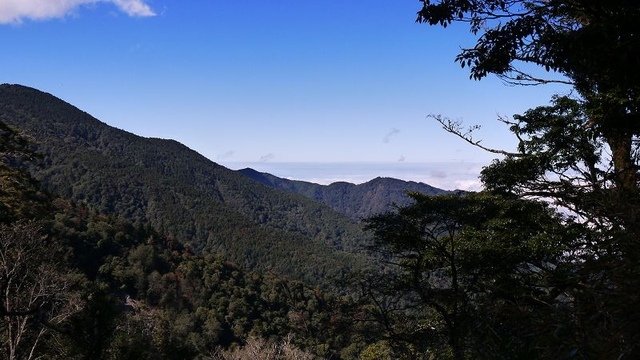 2019-11-22 12-07-35(001).jpg - 20191122_觀霧_檜山巨木步道_去程