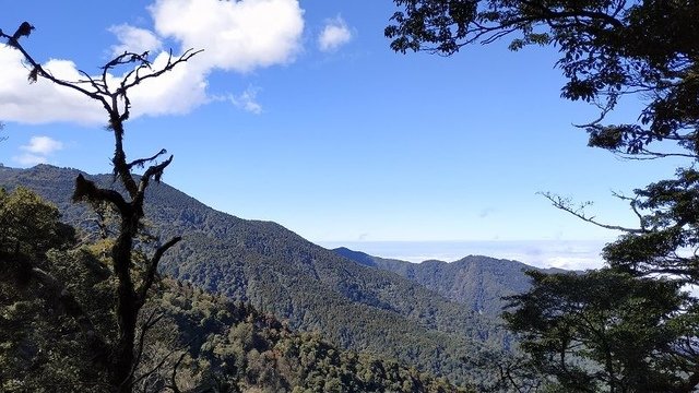 2019-11-22 12-08-00(001).jpg - 20191122_觀霧_檜山巨木步道_去程