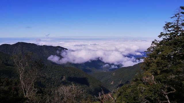 2019-11-22 12-08-36(001).jpg - 20191122_觀霧_檜山巨木步道_去程