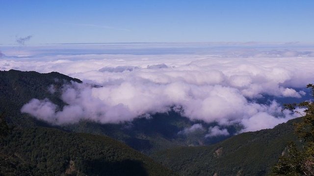 2019-11-22 12-08-47(001).jpg - 20191122_觀霧_檜山巨木步道_去程