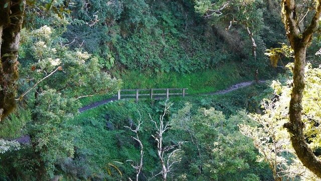 2019-11-22 12-13-05(001).jpg - 20191122_觀霧_檜山巨木步道_去程