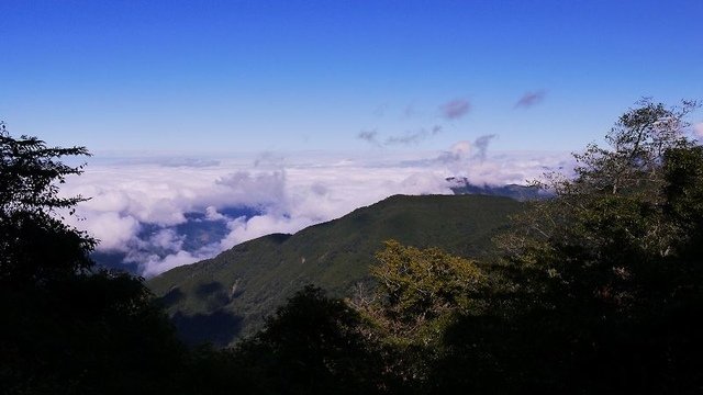 2019-11-22 12-18-36(001).jpg - 20191122_觀霧_檜山巨木步道_去程