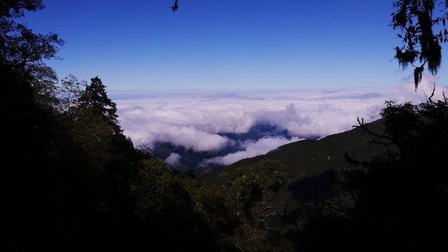 2019-11-22 12-28-12(001).jpg - 20191122_觀霧_檜山巨木步道_去程