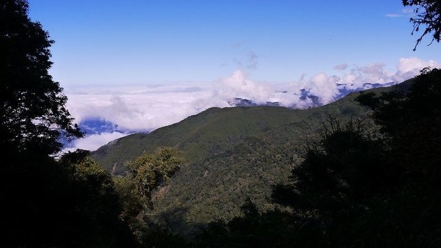 2019-11-22 12-28-45(001).jpg - 20191122_觀霧_檜山巨木步道_去程