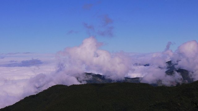 2019-11-22 12-28-51(001).jpg - 20191122_觀霧_檜山巨木步道_去程