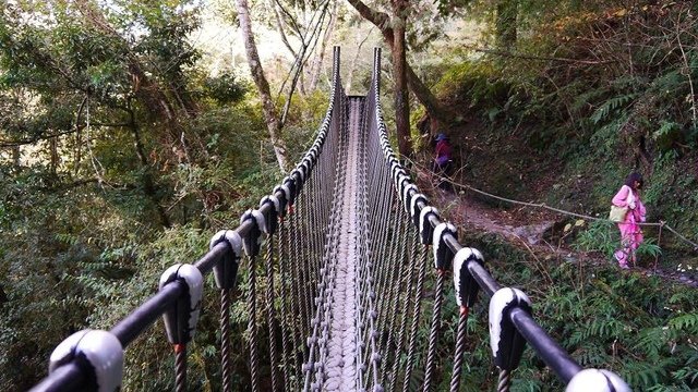 2019-11-22 12-33-03(001).jpg - 20191122_觀霧_檜山巨木步道_去程