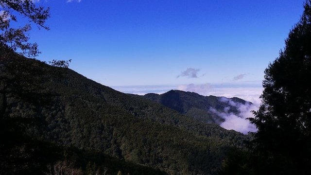 2019-11-22 12-37-33(001).jpg - 20191122_觀霧_檜山巨木步道_去程