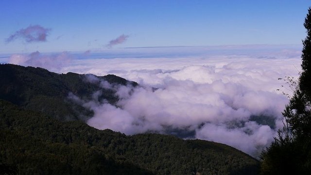 2019-11-22 12-37-44(001).jpg - 20191122_觀霧_檜山巨木步道_去程