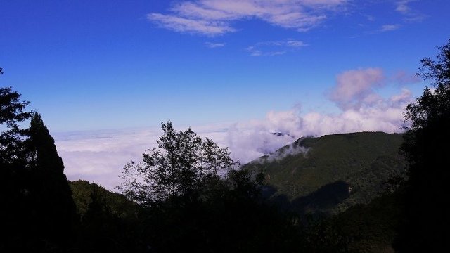 2019-11-22 12-58-28(001).jpg - 20191122_觀霧_檜山巨木步道_去程