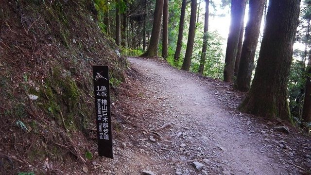 2019-11-22 12-59-21(001).jpg - 20191122_觀霧_檜山巨木步道_去程