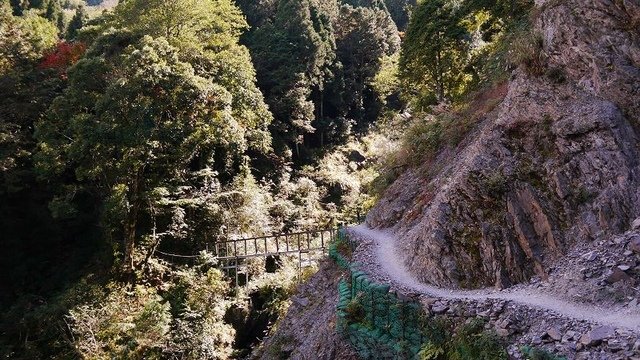 2019-11-22 13-16-36(001).jpg - 20191122_觀霧_檜山巨木步道_去程