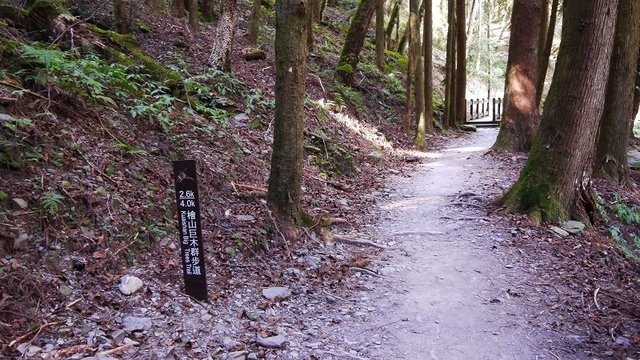 2019-11-22 13-21-25(001).jpg - 20191122_觀霧_檜山巨木步道_去程