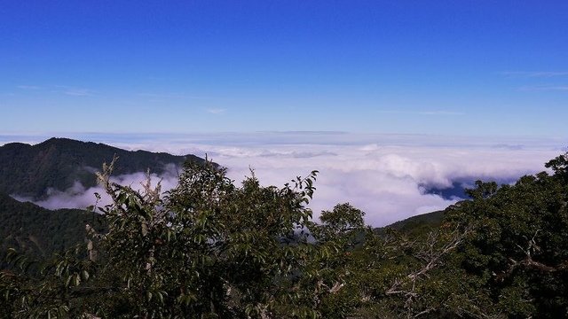 2019-11-22 10-38-23(001).jpg - 20191122_觀霧_雪霸國家公園