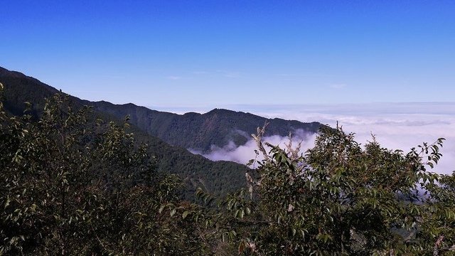 2019-11-22 10-38-25(001).jpg - 20191122_觀霧_雪霸國家公園