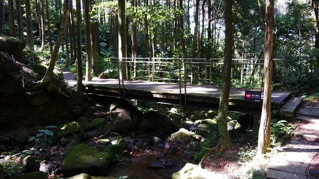 2019-11-16 12-00-27(001).jpg - 20191116_三峽_台灣農林熊空茶園_柳杉林步道