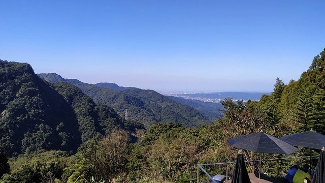 2019-11-16 12-11-18(001).jpg - 20191116_三峽_台灣農林熊空茶園_柳杉林步道