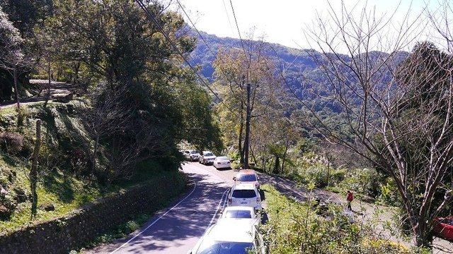 2019-11-16 12-14-02(001).jpg - 20191116_三峽_台灣農林熊空茶園_柳杉林步道