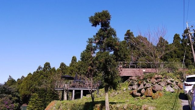 2019-11-16 12-16-36(001).jpg - 20191116_三峽_台灣農林熊空茶園_柳杉林步道