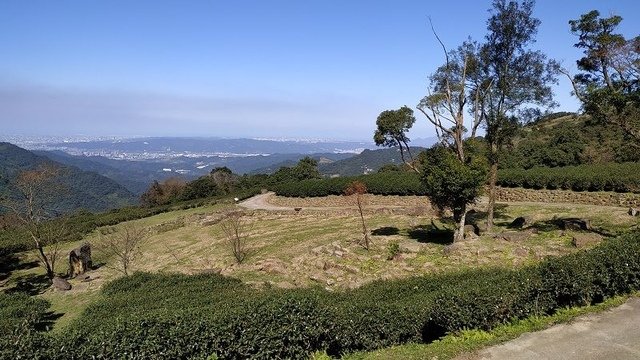 2019-11-16 10-54-41(001).jpg - 20191116_三峽_台灣農林熊空茶園_茶園區