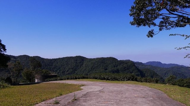 2019-11-16 11-07-53(001).jpg - 20191116_三峽_台灣農林熊空茶園_茶園區