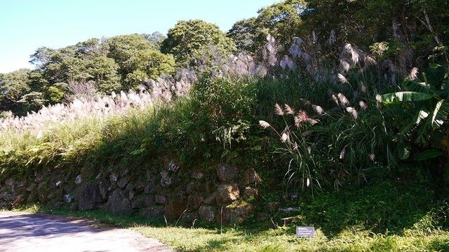 2019-11-16 11-07-57(001).jpg - 20191116_三峽_台灣農林熊空茶園_茶園區