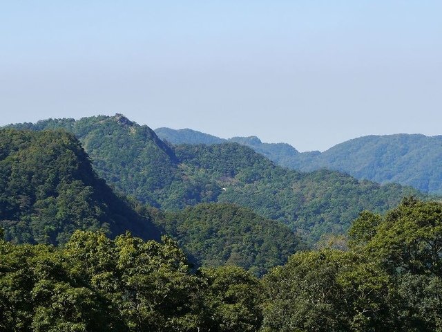 2019-11-16 11-11-35(001).jpg - 20191116_三峽_台灣農林熊空茶園_茶園區