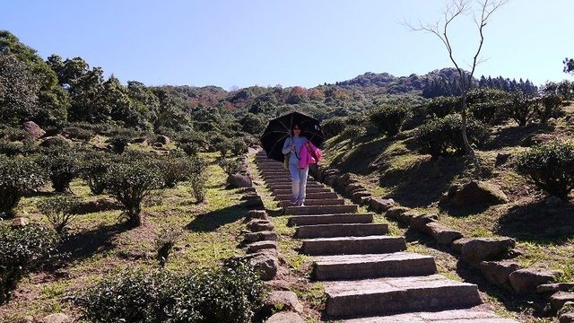 2019-11-16 11-27-01(001).jpg - 20191116_三峽_台灣農林熊空茶園_茶園區