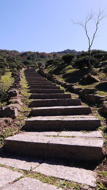 2019-11-16 11-27-30(001).jpg - 20191116_三峽_台灣農林熊空茶園_茶園區