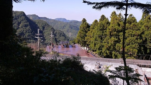 2019-11-16 11-33-59(001).jpg - 20191116_三峽_台灣農林熊空茶園_茶園區