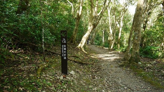 2019-11-09 13-46-22(001).jpg - 20191109_三峽_滿月圓_自導式步道