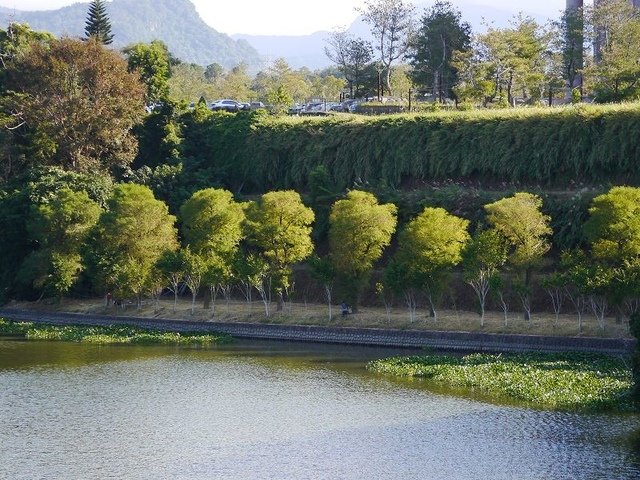 2019-11-02 14-54-23(001).jpg - 20191102_峨嵋_峨眉湖步道