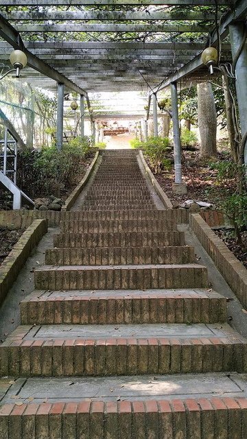 2019-10-12 15-01-40(001).jpg - 20191012_頭份_品園