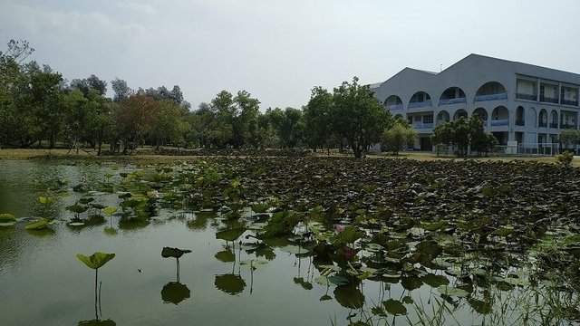 2019-10-12 13-38-15(001).jpg - 20191012_苗栗_慈濟苗栗園區