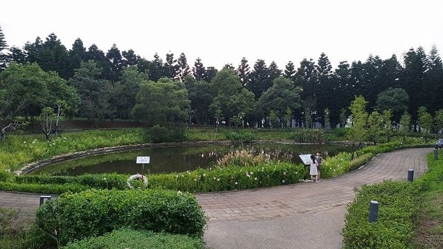 2019-09-07 18-02-07(001).jpg - 20190907_中壢_過嶺森林公園