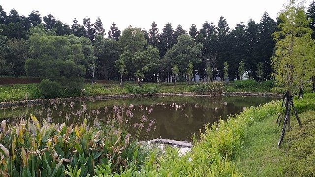 2019-09-07 18-03-07(001).jpg - 20190907_中壢_過嶺森林公園