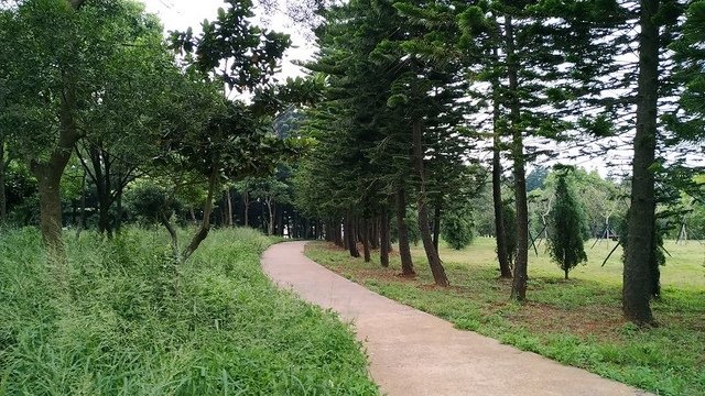 2019-09-07 18-07-43(001).jpg - 20190907_中壢_過嶺森林公園